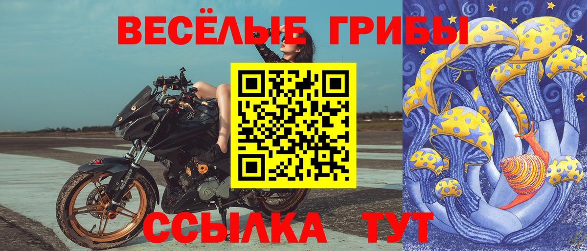 Псилоцибиновые грибы мухоморы  Вход с VPN  Заречный  Псилоцибиновые грибы мицелий 