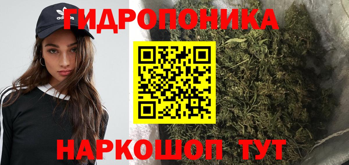 МАРИХУАНА семена Заречный